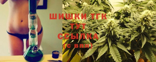 прущий лед Пересвет