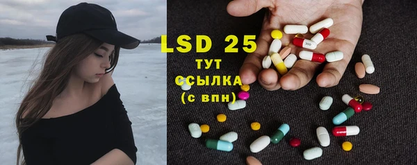 ПСИЛОЦИБИНОВЫЕ ГРИБЫ Аркадак